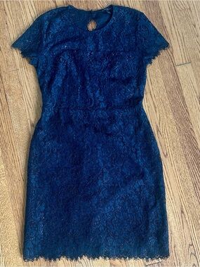 Banana Republic Navy Lace Short Sleeve Sheath Dress